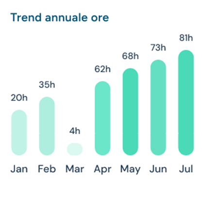 grafico che rappresenta il trand annuale delle ore, sull'asse x i mesi e sull'asse y la quantità